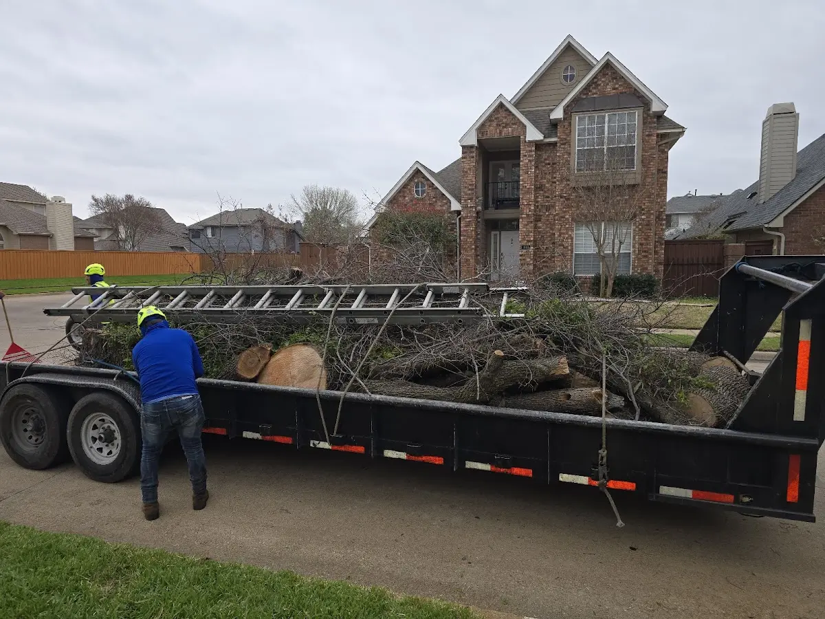 Expert Lot Clearing with proper safety equipment in Maysel